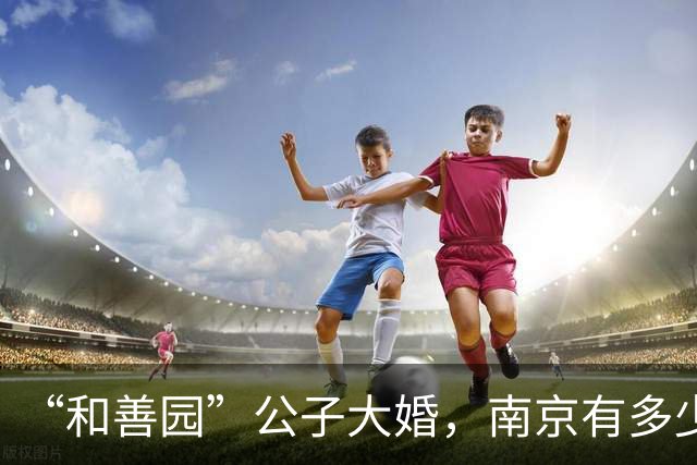 “和善园”公子大婚，南京有多少小老板靠他生活？