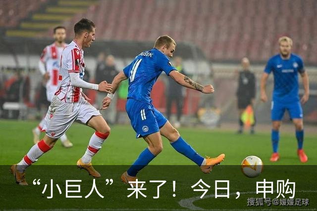 “小巨人”来了！今日，申购
