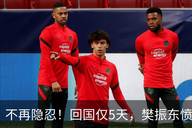 不再隐忍！回国仅5天，樊振东愤怒发声，原来刘国梁的担忧是真的