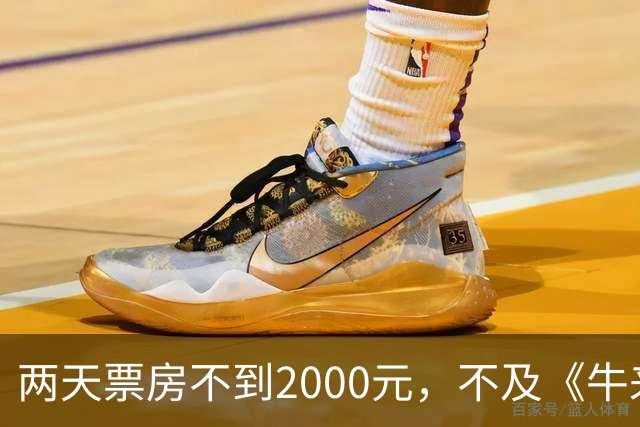 两天票房不到2000元，不及《牛来》一半，多位明星助力也没用，本月最惨电影诞生
