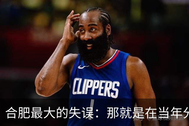 合肥最大的失误：那就是在当年分巢湖的时候，竟然没有拿下无为县
