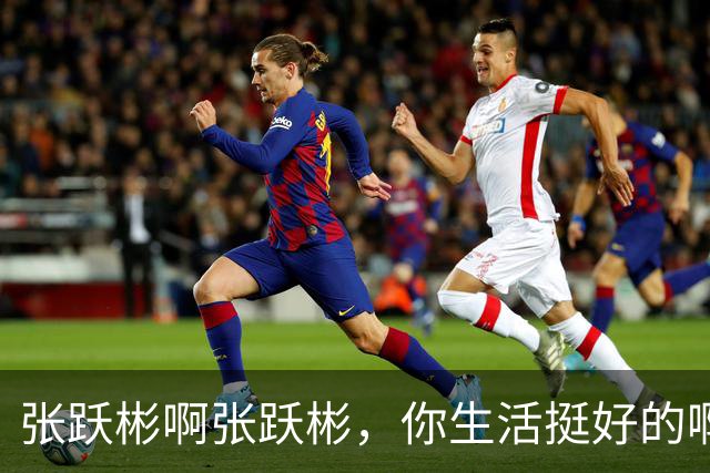 张跃彬啊张跃彬，你生活挺好的啊，为什么要去贪呢？现在完了吧