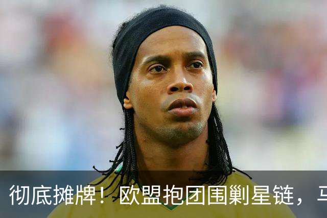 彻底摊牌！欧盟抱团围剿星链，马斯克急着撇清关系