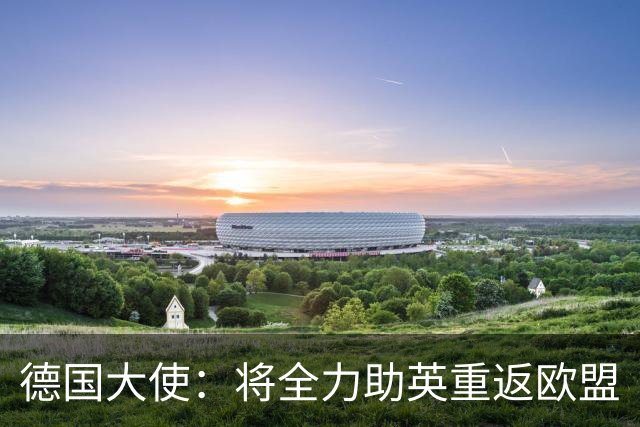 德国大使：将全力助英重返欧盟