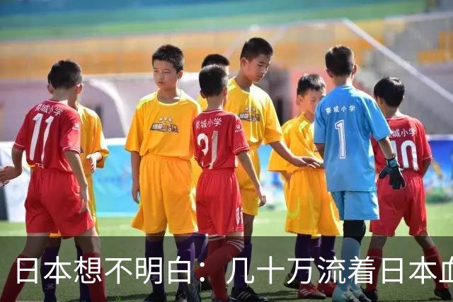 日本想不明白：几十万流着日本血的人，为什么死活不认同日本？