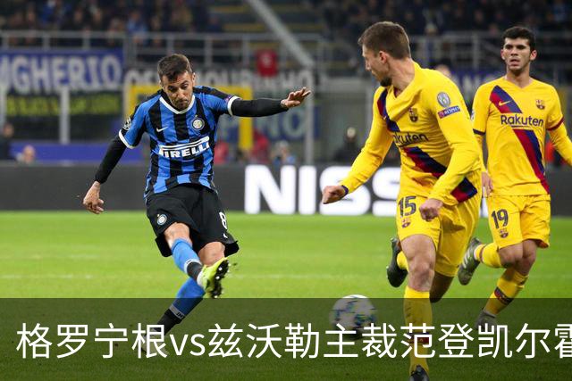 格罗宁根vs兹沃勒主裁范登凯尔霍夫数据：近20场46黄2红5点