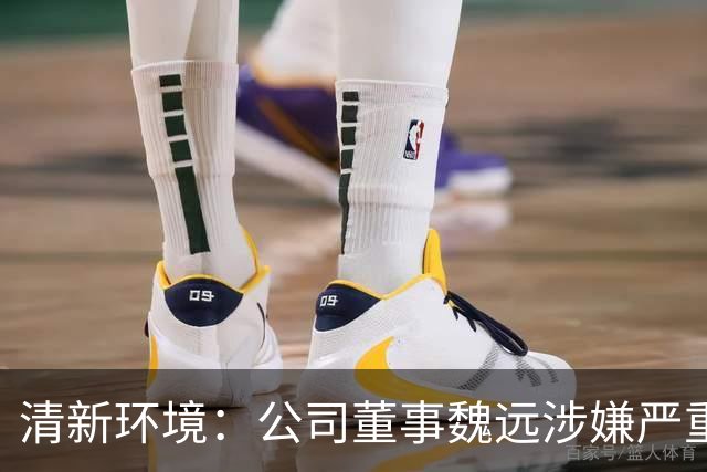 清新环境：公司董事魏远涉嫌严重违纪违法，正接受纪律审查和监察调查