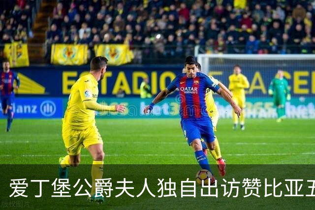 爱丁堡公爵夫人独自出访赞比亚五天