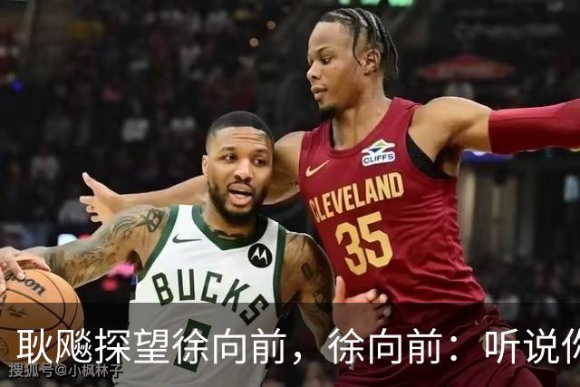 耿飚探望徐向前，徐向前：听说你把杨得志和罗瑞卿都弄到沟里了？