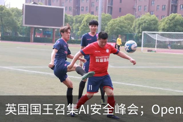 英国国王召集AI安全峰会；OpenAI发布模型失控报告；玻利维亚发现猫科新物种