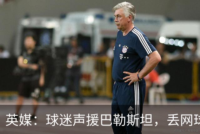 英媒：球迷声援巴勒斯坦，丢网球进场导致爱尔兰vs奥地利比赛中断