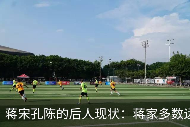 蒋宋孔陈的后人现状：蒋家多数远离政坛，陈家孙辈皆成栋梁