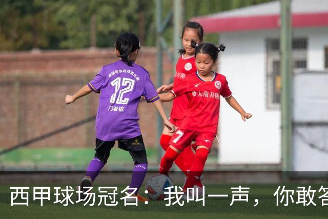 西甲球场冠名：我叫一声，你敢答应吗？