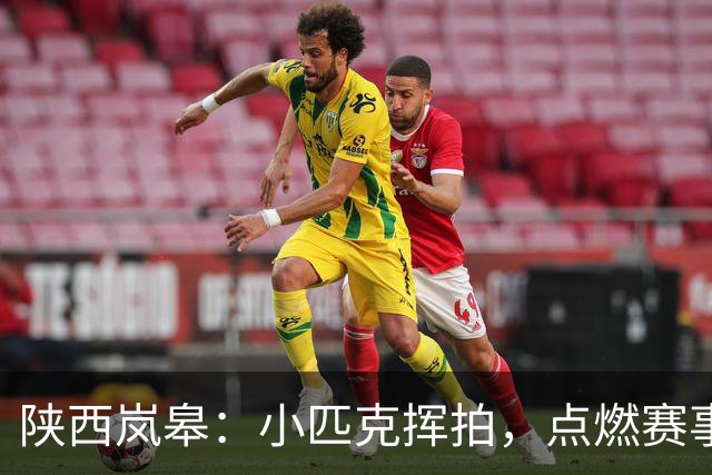 陕西岚皋：小匹克挥拍，点燃赛事新赛道