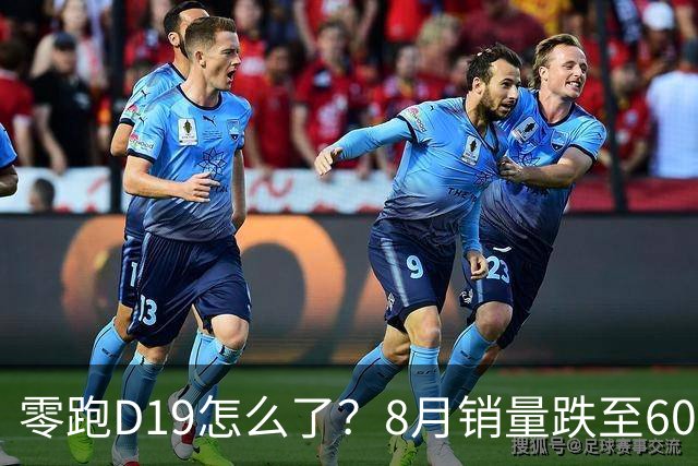 零跑D19怎么了？8月销量跌至6034台，环比下滑39.9%