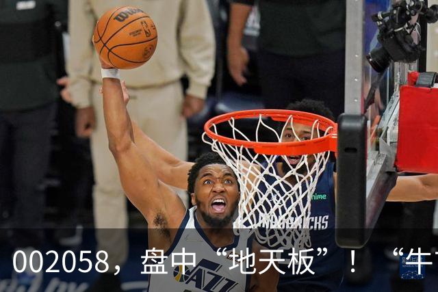 002058，盘中“地天板”！“牛市旗手”，突发异动！
