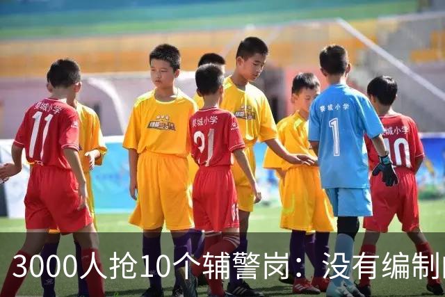 3000人抢10个辅警岗：没有编制的“铁饭碗”，正在成为本科生的新战场