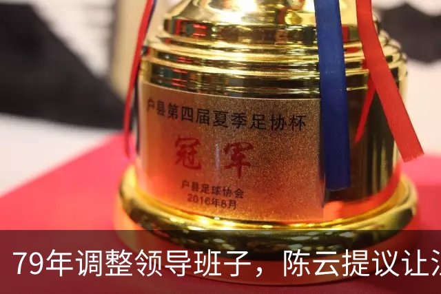 79年调整领导班子，陈云提议让汪东兴退位，汪回复8个字掷地有声