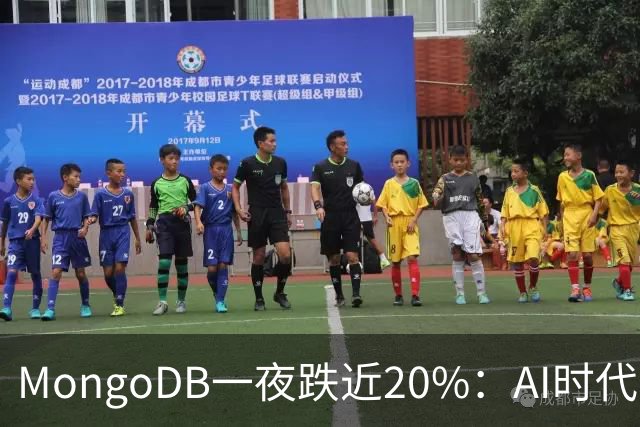 MongoDB一夜跌近20%：AI时代，数据库公司的护城河正在改变